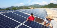 真相大白：光伏真的躺著都能賺錢？
