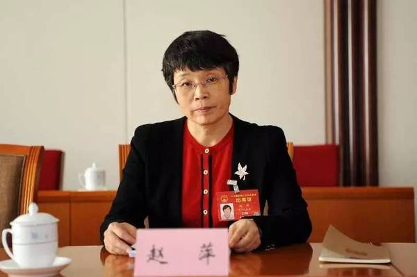東方風(fēng)電趙萍：海上風(fēng)機(jī)大型化是趨勢(shì)，中國(guó)已落后一步