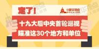 定了！華電集團(tuán)、中核集團(tuán)將接受十九屆中央第一輪巡視