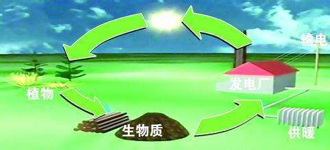 生物質(zhì)是替代核電、火電 彌補(bǔ)天然氣缺口的一種重要新能源