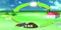 生物質(zhì)是替代核電、火電 彌補(bǔ)天然氣缺口的一種重要新能源