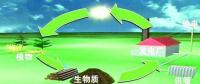 生物質(zhì)是替代核電、火電 彌補(bǔ)天然氣缺口的一種重要新能源