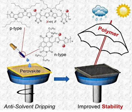 蘇州大學(xué)馬萬里團隊Adv. Funct. Mater.：共軛聚合物助力鈣鈦礦電池效率及穩(wěn)定性