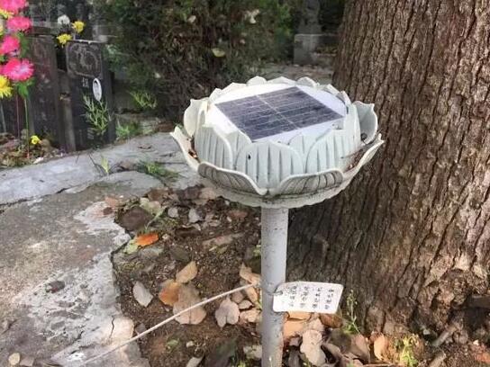 墓地傳來哭聲 周圍卻沒有人影 清明節(jié)你被光伏嚇著了嗎？