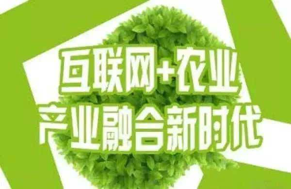 互聯(lián)網(wǎng)+農(nóng)業(yè)，6大創(chuàng)業(yè)方向是…