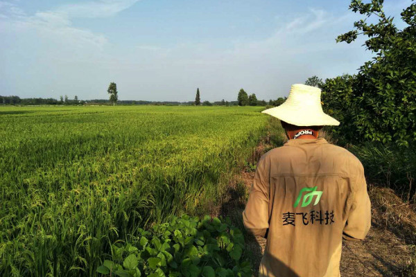 “AI+遙感”覬覦萬億級智慧農(nóng)業(yè)市場，這次沒有中間商賺差價 