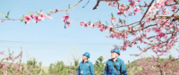 世界一流能源互聯(lián)網(wǎng)企業(yè)怎么建？國網(wǎng)已簽訂39個增量配電試點(diǎn)項目合作意向書