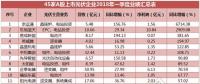 一季度45家光伏企業(yè)業(yè)績榜單登場：超八成飄紅，兩級分化現(xiàn)象嚴重