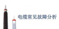 電纜常見(jiàn)<font color=