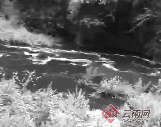云南麗江部分水體變黑臭并有牲畜尸體，環(huán)保局：水閘放水引起