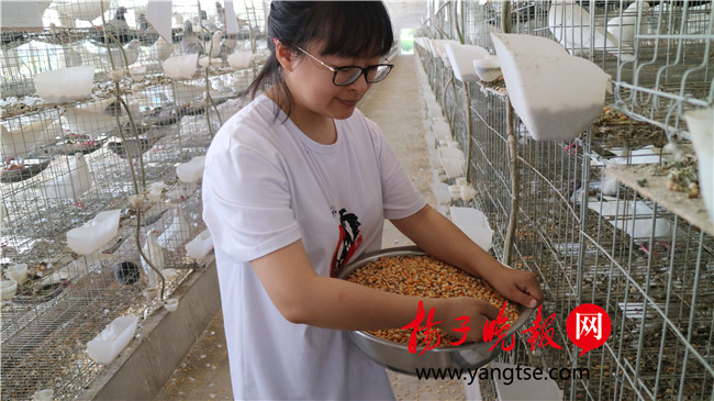 一個“80”后研究生的“綠色農(nóng)業(yè)夢”：用“互聯(lián)網(wǎng)+”思維做農(nóng)業(yè)，新型職業(yè)農(nóng)民“潮”起來