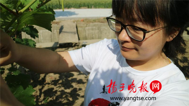 一個“80”后研究生的“綠色農(nóng)業(yè)夢”：用“互聯(lián)網(wǎng)+”思維做農(nóng)業(yè)，新型職業(yè)農(nóng)民“潮”起來
