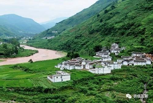 移動互聯(lián)網(wǎng)走進(jìn)農(nóng)村，推動農(nóng)業(yè)產(chǎn)業(yè)的智慧化轉(zhuǎn)型升級 