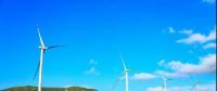 好一個龐然大物！欽州這個風電站建成這樣啦！