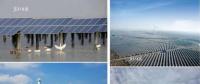 國(guó)家電投在鹽城裝機(jī)容量突破280萬千瓦