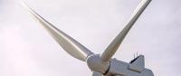 66 MW！維斯塔斯獲巴拿馬首筆風電訂單