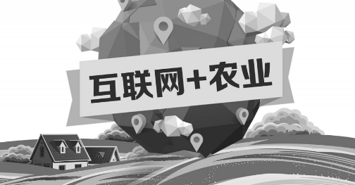 A5創(chuàng)業(yè)項(xiàng)目推薦：互聯(lián)網(wǎng)+農(nóng)業(yè)能碰撞出怎樣的新發(fā)展？