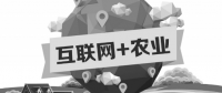 A5創(chuàng)業(yè)項(xiàng)目推薦：互聯(lián)網(wǎng)+農(nóng)業(yè)能碰撞出怎樣的新發(fā)展？