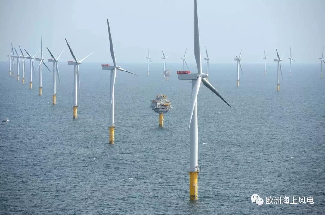 干貨丨一文看盡海上風電機組固定式基礎(chǔ)大全