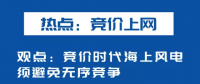 海上風(fēng)電如何應(yīng)對(duì)競(jìng)價(jià)上網(wǎng)、大功率研發(fā)、事故風(fēng)險(xiǎn)？