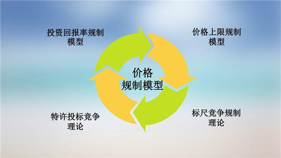 我國電力價格規(guī)制現(xiàn)狀、存在的問題及原因分析