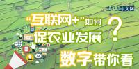 “互聯(lián)網(wǎng)+”如何促農(nóng)業(yè)發(fā)展？數(shù)字帶你看