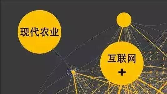 顛覆！裂變！賦能！互聯(lián)網(wǎng)+農(nóng)業(yè)領(lǐng)域的“豬飛起來(lái)了”