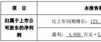 隆基、晶科齊發(fā)聲 “531”利大于弊？