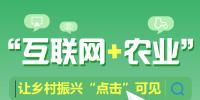 圖解丨“互聯(lián)網(wǎng) 農(nóng)業(yè)”讓鄉(xiāng)村振興“點(diǎn)擊”可見(jiàn)