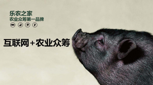 互聯(lián)網(wǎng)+農(nóng)業(yè)眾籌只賺吆喝 利潤全被用戶拿走了？