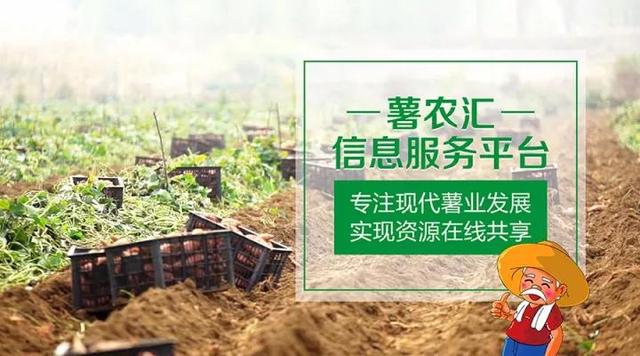 “互聯(lián)網(wǎng)+農(nóng)業(yè)”，創(chuàng)造農(nóng)村發(fā)展新活力