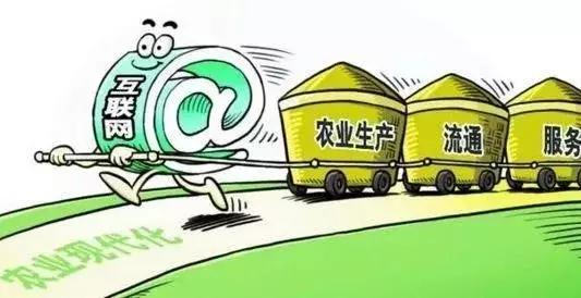 2018年農(nóng)村電商巨頭卡位戰(zhàn)：互聯(lián)網(wǎng)+農(nóng)業(yè)新玩法！