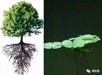 插樁式、坐底式 詳解海上風(fēng)電安裝平臺(tái)的作業(yè)方式