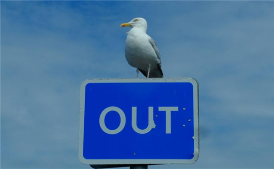 中國動(dòng)力電池行業(yè)前五出貨量占比80% 二線企業(yè)基本將出局？