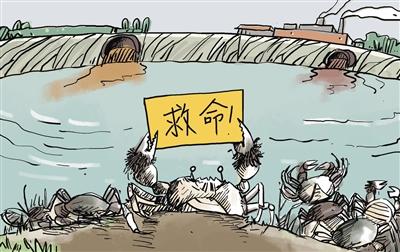 上游污水“毒死”萬畝大閘蟹，誰擔(dān)其責(zé)？