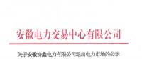 安徽1家具有發(fā)電業(yè)務的售電公司退出電力市場