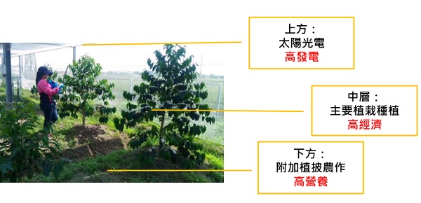 后補(bǔ)貼時(shí)代 “架高、一地多用”助力光伏平價(jià)上網(wǎng)
