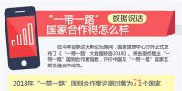 數(shù)據(jù)說(shuō)話(huà)：“一帶一路”國(guó)家合作得怎么樣