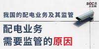配電業(yè)務(wù)需要監(jiān)管的原因、我國的配電業(yè)務(wù)及其監(jiān)管