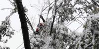 新疆烏魯木齊暴雪致17條配網(wǎng)線路停電