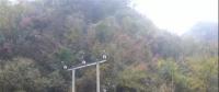湖北整治關(guān)停100多座小水電站 , 其中宜昌48座、神農(nóng)架林區(qū)21座、恩施20座