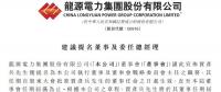 最新！龍?jiān)措娏μ崦Z彥兵擔(dān)任總經(jīng)理等職