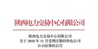 陜西關于2018年11月受理注冊的售電公司公示結果的公告