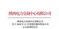 陜西發(fā)布了《關于2018年11月受理注冊的售電公司公示結果的公告》