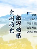 讀圖｜2020政府工作報(bào)告中這些內(nèi)容，和能源電力有關(guān)！