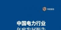 中電聯(lián)發(fā)布《中國電力行業(yè)年度發(fā)展<font color=